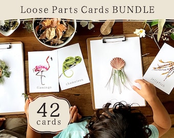 PAKIET Karty do zabawy z luźnymi częściami natury | Fiszki z materiałami naturalnymi | Reggio | Szkoła leśna Montessori | Dekoracje do klasy w naturze