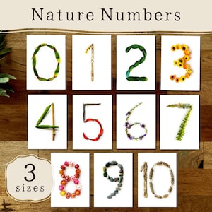 Pode incluir: Uma cole&ccedil;&atilde;o de dez cart&otilde;es num&eacute;ricos, cada um com um n&uacute;mero de zero a dez, feitos com elementos naturais como folhas, galhos e flores. Os cart&otilde;es est&atilde;o dispostos sobre uma superf&iacute;cie de madeira, com o texto "Nature Numbers" no topo. Um r&oacute;tulo indica "3 sizes".