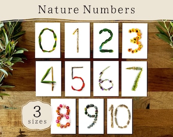 Nature Number Cards 0 to 10 | Outdoor Loose Parts Play | Reggio Emilia | Montessori | Preschool EYFS | Forest School Nature Classroom Decor