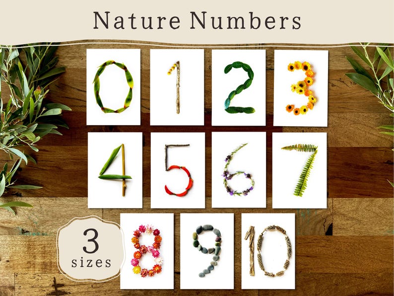 Pode incluir: Uma cole&ccedil;&atilde;o de dez cart&otilde;es num&eacute;ricos, cada um com um n&uacute;mero de zero a dez, feitos com elementos naturais como folhas, galhos e flores. Os cart&otilde;es est&atilde;o dispostos sobre uma superf&iacute;cie de madeira, com o texto "Nature Numbers" no topo. Um r&oacute;tulo indica "3 sizes".