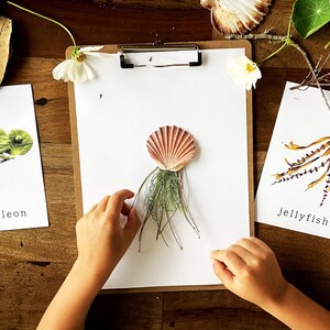 Animal Loose Parts Play Provocation Cards | Natural Materials Flashcards | Preschool Activity | Reggio Montessori Forest School Classroom image 4