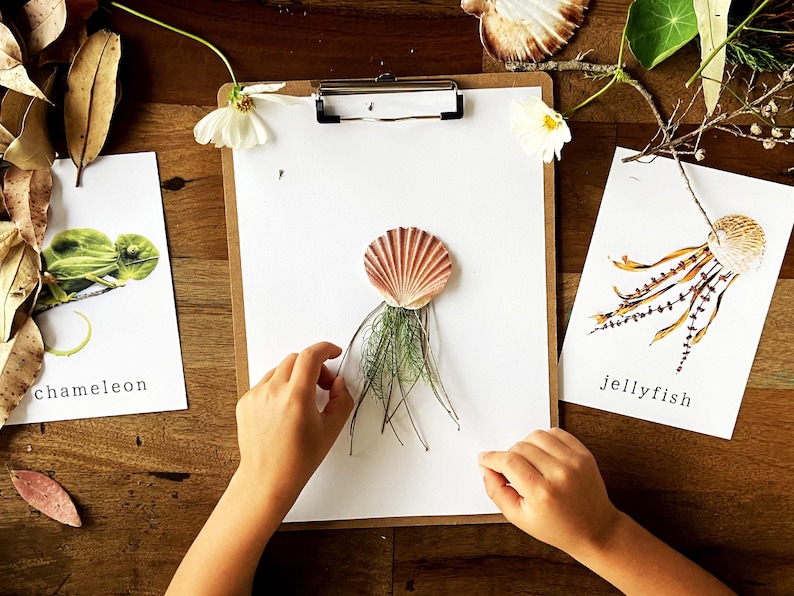 Animal Loose Parts Play Provocation Cards | Natural Materials Flashcards | Preschool Activity | Reggio Montessori Forest School Classroom image 4