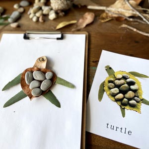 May include: Two turtle crafts made with leaves, twigs, and stones. The first turtle is on a white sheet of paper with a brown leaf for the shell and green leaves for the legs. The second turtle is on a white card with the word "turtle" printed below it. The turtle is made with a yellow leaf for the shell and green leaves for the legs.