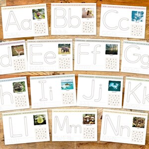 May include: A collection of alphabet flashcards, each featuring a letter outline, a corresponding image, and a selection of related words. The images include a nut, a bee, clouds, a deer, an elephant, a forest, a giraffe, a hedgehog, an island, a jellyfish, a waterfall, a leaf, mushrooms, and an owl.
