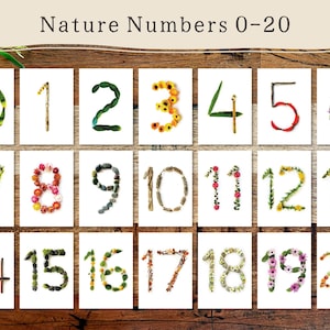 Może przedstawiać: Zestaw dwudziestu jeden białych prostokątnych kart z napisem Nature Numbers 0-20, z których każda przedstawia liczbę uformowaną z naturalnych elementów, takich jak liście, kwiaty, gałązki i kamienie. Karty są ułożone w siatkę na drewnianym podłożu.