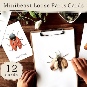 Minibeast Nature Loose Parts Play Schede di Provocazione / Insetti Attività Stampabili per la Scuola Prescolare Reggio Montessori Forest School Aula Naturale
