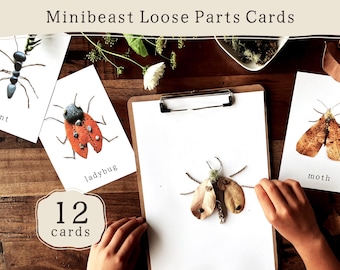Tarjetas de provocación con piezas sueltas de Minibeast Nature / Insectos imprimibles para preescolar, actividad de otoño, aula de naturaleza Reggio Montessori