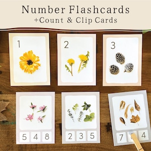 May include: Educational number flashcards with botanical illustrations. The cards display images of a yellow flower, dandelions, pine cones, pink flowers, green leaves, and autumn leaves. Each card has a number and a counting section.