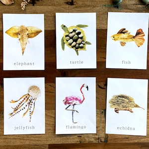 May include: Six cards with different animal names and images made from natural materials. The animals are an elephant, turtle, fish, jellyfish, flamingo, and echidna.