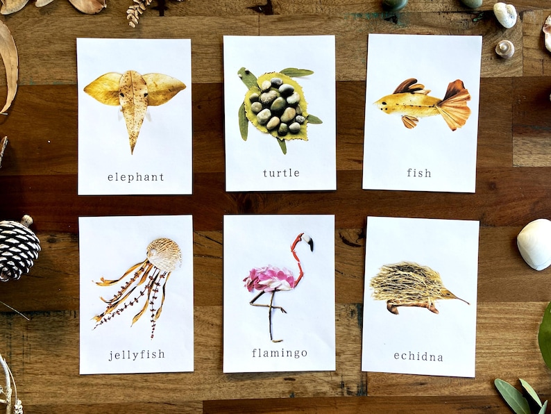 May include: Six cards with different animal names and images made from natural materials. The animals are an elephant, turtle, fish, jellyfish, flamingo, and echidna.