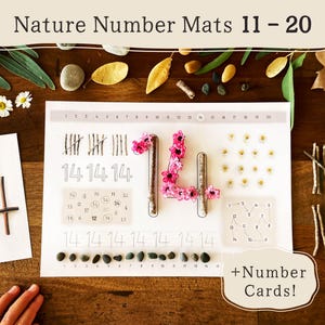 Op de afbeelding: Een wit educatief werkblad getiteld Nature Number Mats 11-20 met het getal 14 gevormd door takjes en roze bloemen, naast lijnen om cijfers over te trekken, een punt-naar-punt raster en een rij kleine grijze steentjes om mee te tellen.