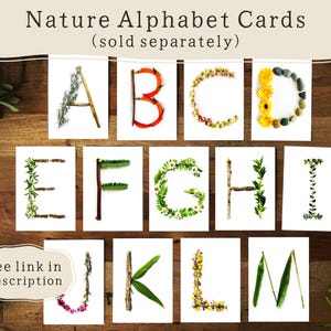 May include: Nature Alphabet Cards featuring letters A through M, each crafted from natural elements like flowers, leaves, and twigs. The cards are displayed on a wooden surface, with the text "Nature Alphabet Cards" and "(sold separately)" at the top.
