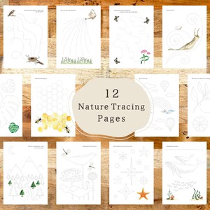 May include: Twelve printable nature tracing pages for kids. The pages feature outlines of a beehive, a snail, a dragonfly, a mountain range, a starfish, a whale, a leaf, a watering can, a monstera leaf, a flower, an orange tree, and a bird.