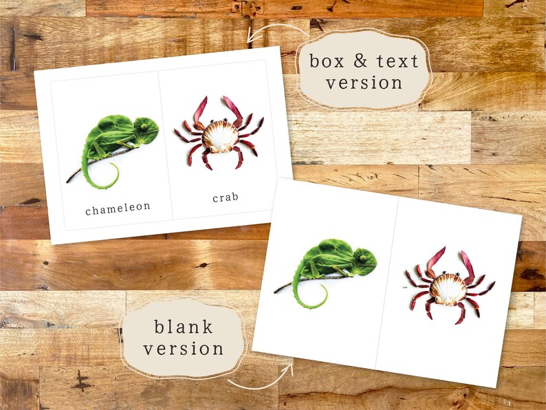 May include: Two flash cards with images of a chameleon and a crab. The cards have the words "chameleon" and "crab" printed below the images.
