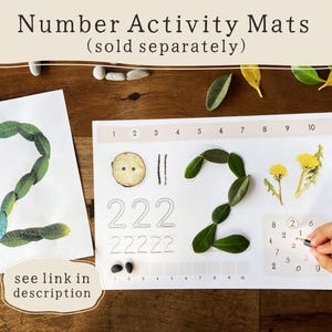 Pode incluir: Mats de atividades num&eacute;ricas com o texto "Number Activity Mats (vendidos separadamente)". O n&uacute;mero 2 &eacute; formado com folhas verdes sobre um fundo branco. Uma m&atilde;o segura um l&aacute;pis e escreve em uma folha de atividades num&eacute;ricas. O texto "see link in description" tamb&eacute;m est&aacute; presente.