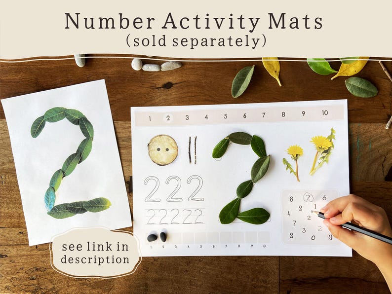 Pode incluir: Mats de atividades num&eacute;ricas com o texto "Number Activity Mats (vendidos separadamente)". O n&uacute;mero 2 &eacute; formado com folhas verdes sobre um fundo branco. Uma m&atilde;o segura um l&aacute;pis e escreve em uma folha de atividades num&eacute;ricas. O texto "see link in description" tamb&eacute;m est&aacute; presente.