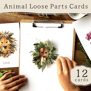 Animal Loose Parts Play Provocation Cards | Natural Materials Flashcards | Preschool Activity | Reggio Montessori Forest School Classroom