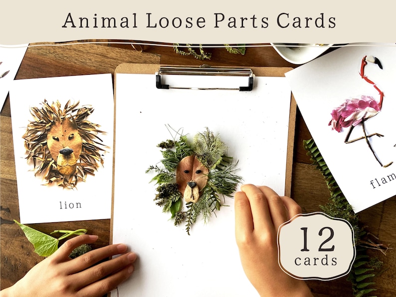 Animal Loose Parts Play Provocation Cards | Natural Materials Flashcards | Preschool Activity | Reggio Montessori Forest School Classroom image 1