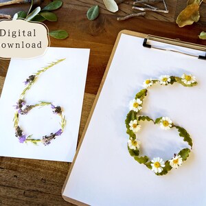 Pode incluir: Dois cart&otilde;es brancos com o n&uacute;mero seis formado por elementos naturais. Um cart&atilde;o apresenta o n&uacute;mero seis feito de flores roxas e caules verdes. O outro cart&atilde;o tem o n&uacute;mero seis feito de margaridas brancas e folhas verdes. As palavras "Download digital" est&atilde;o em um oval creme.