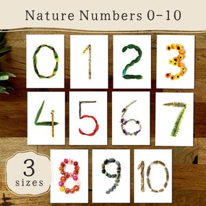 Nature Number Cards 0 to 10 | Outdoor Loose Parts Play | Reggio Emilia | Montessori | Preschool EYFS | Forest School Nature Classroom Decor