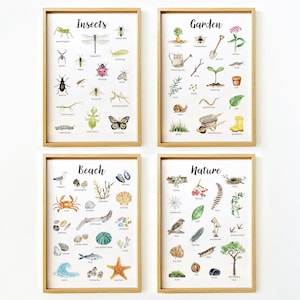 Arte murale stampabile educativa sulla natura / Poster sulla natura per la cameretta dei bambini / Decorazioni per la cameretta dei bambini / Aula Montessori Reggio / Scuola domestica / Scuola materna