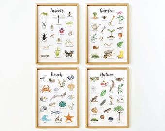 Nature Educational Printable Wall Art | Nature Posters for Kids Room | Nursery Decor | Reggio Montessori Classroom | Homeschool | Preschool