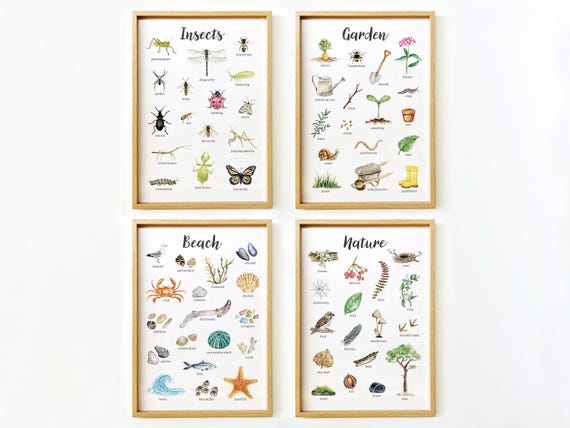 Nature Educational Printable Wall Art | Nature Posters for Kids Room | Nursery Decor | Reggio Montessori Classroom | Homeschool | Preschool
