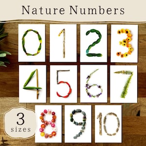 以下が含まれることがあります： Nature Numbersと題された教育用カードセット。葉、花、小枝、石などの自然素材で形作られた0から10までの数字が並んでいます。各数字は白い背景に表示されており、3 sizesというラベルが記載されています。