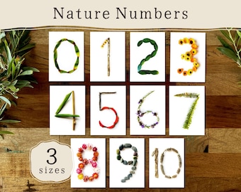 Nature Number Cards 0 to 10 | Outdoor Loose Parts Play | Reggio Emilia | Montessori | Preschool EYFS | Forest School Nature Classroom Decor