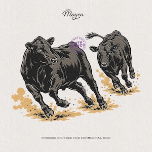May include: A digital illustration featuring two black cows running across a dusty ground with tan-coloured dirt clouds. The text 22th Mayco. appears at the top, and the text PNG/300 DPI/FREE FOR COMMERCIAL USE. is printed at the bottom.