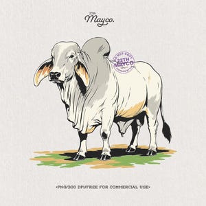 May include: A digital illustration of a white Brahman bull with a prominent hump, large drooping ears, and loose skin folds. The text 22th Mayco appears at the top, and a circular purple stamp reads DO NOT COPY 22TH MAYCO VINTAGE STYLE.