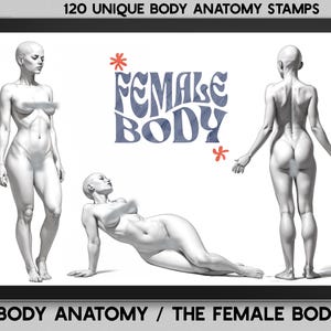 Procreate, The female body ~ 120 unique body references