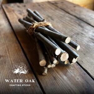 Water Oak Short 6 Inch Crafting Sticks Bundle of 12 | Natural Wood Twigs for DIY, Decor, Sacred Ritual Use Eco-friendly Organic Sustainable