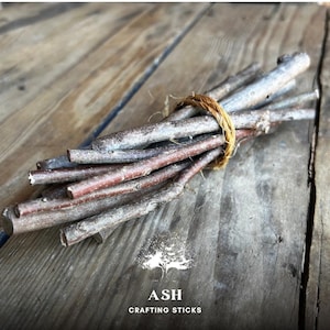 Ash Short 6 Inch Crafting Sticks Bundle of 12 | Natural Wood Twigs for DIY, Decor, Sacred Ritual Use Eco-friendly Organic Sustainable