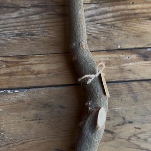 May include: A natural, curved tree branch with a rough, textured surface. A small, blank tag is tied to the branch with twine. The branch is a light brown color and is lying on a wooden surface.