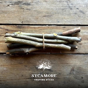 Sycamore Short 6 Inch Crafting Sticks Bundle of 12 | Natural Wood Twigs for DIY, Decor, Sacred Ritual Use Eco-friendly Organic Sustainable