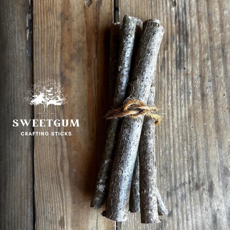 Sweetgum Short 6 Inch Crafting Sticks ** Bundle of 6 ** | Natural Wood Twigs for DIY, Decor, Sacred Ritual Use Eco-friendly Organic Sustainable