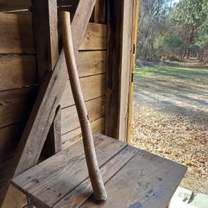 May include: A long, cylindrical object made of a light brown material, possibly wood or cork, stands upright against a wooden structure. The object rests on a weathered wooden surface, with a natural outdoor backdrop visible.