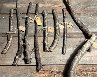 Black Cherry Wand Blank: Foraged Carving Wood - Ritual Altar Supply