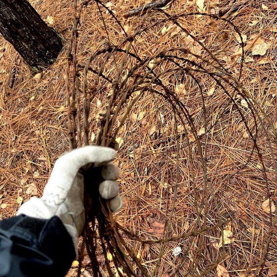 Vintage Rusty Barbed Wire: 1940s Farm Decor, DIY Crafts - Etsy