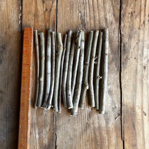 Approximately 6 inches long for all crafting wood sticks in bundle. These are water oaks.