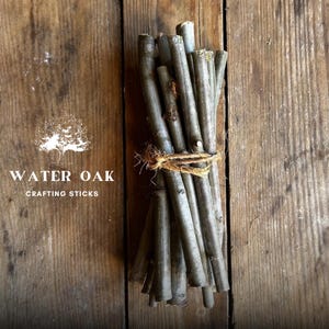 Water Oak Short 6 Inch Crafting Sticks Bundle of 12 | Natural Wood Twigs for DIY, Decor, Sacred Ritual Use Eco-friendly Organic Sustainable