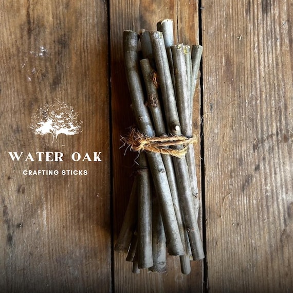 Natural Wood Crafting Sticks: Oak, Ash, Sycamore, Sweetgum Bundle