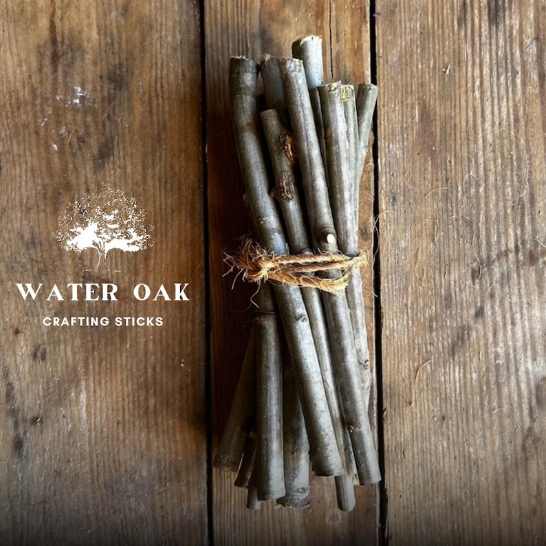 Water Oak Short 6 Inch Crafting Sticks Bundle of 12 | Natural Wood Twigs for DIY, Decor, Sacred Ritual Use Eco-friendly Organic Sustainable