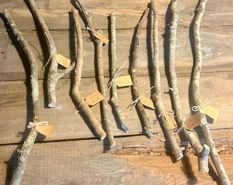 Natural Oak Wood Wand Blanks - Altar Decor & Spellwork Supplies; Floral Decor; Foraged Whittling Carving Materials