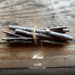 Ash Short 6 Inch Crafting Sticks Bundle of 12 | Natural Wood Twigs for DIY, Decor, Sacred Ritual Use Eco-friendly Organic Sustainable