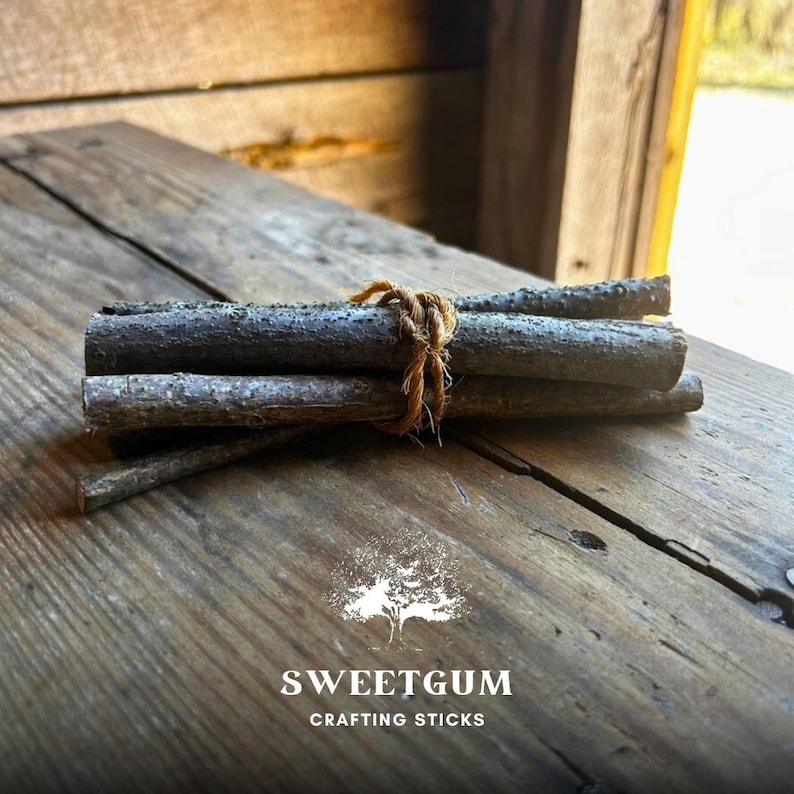 Sweetgum Short 6 Inch Crafting Sticks ** Bundle of 6 ** | Natural Wood Twigs for DIY, Decor, Sacred Ritual Use Eco-friendly Organic Sustainable