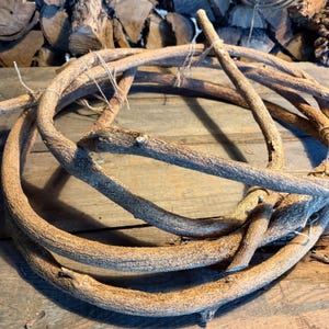May include: A circular wreath constructed from thick, intertwined brown tree branches. The natural wood features a rough, textured bark surface. The branches are secured together at several points with thin, light-colored twine string.