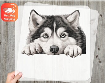 Realistic Husky Dog DTF Transfer, Ready To Press Pet Lover Art, Heat Press Iron-On Decal for Dog Enthusiasts, Animal Bond Gift