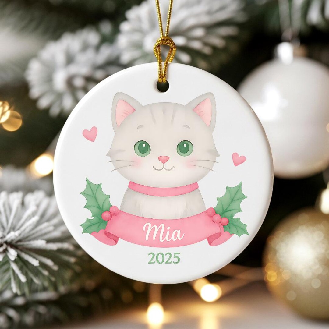 Personalized Cat Christmas Ornament 2025, Custom Pet Ornament With Name ...